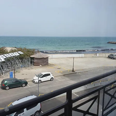 таня 11 帕莫瑞