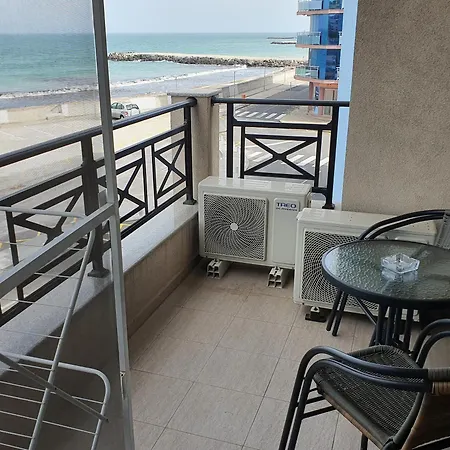 таня 11 帕莫瑞